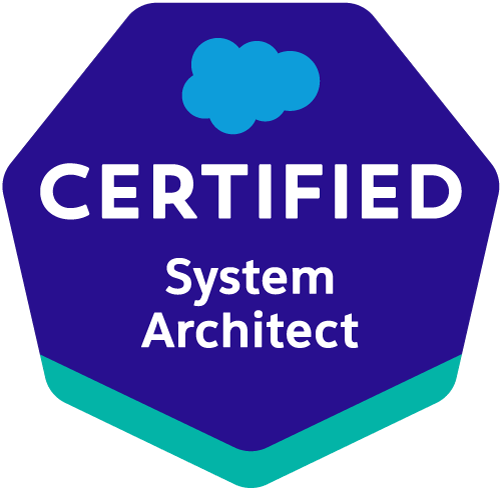 System Architect